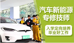 汽车新能源专修技师